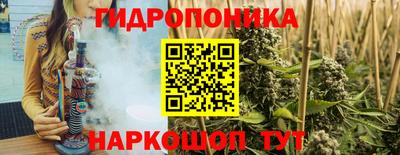 спайс Обь