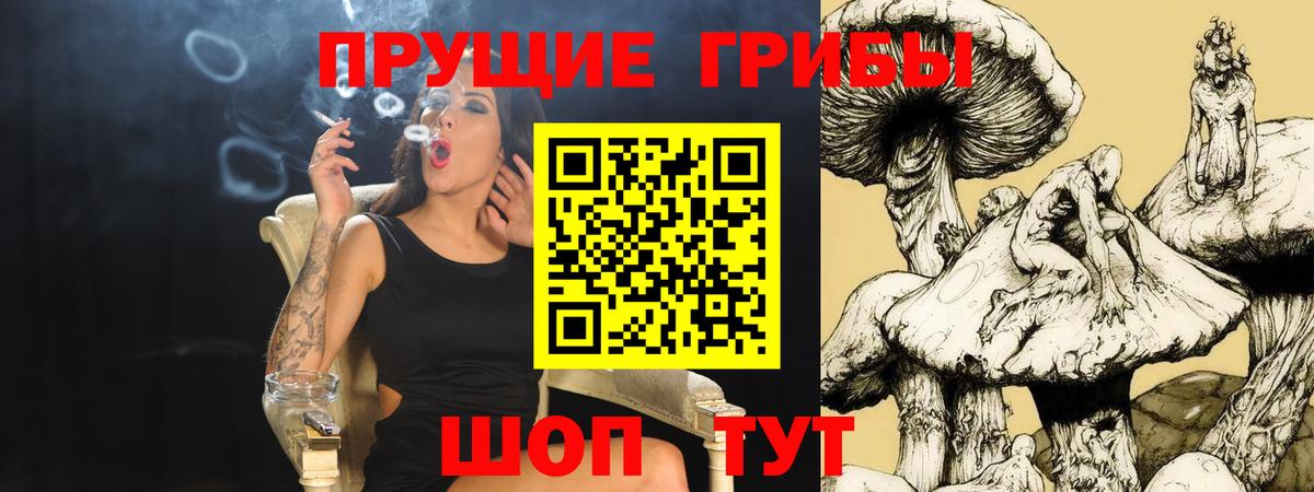 Галлюциногенные грибы мицелий  Псилоцибиновые грибы Psilocybine cubensis  Советский  Вход с VPN 