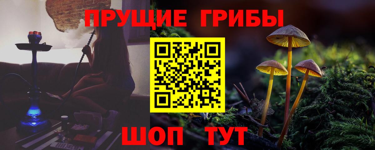 Псилоцибиновые грибы прущие грибы Советский